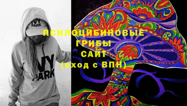 твердый Белокуриха